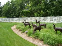 Kingwood, Kingwood Texas, Home Inspection Kingwood, Home Inspector Kingwood, House Inspection Kingwood, Real Estate 